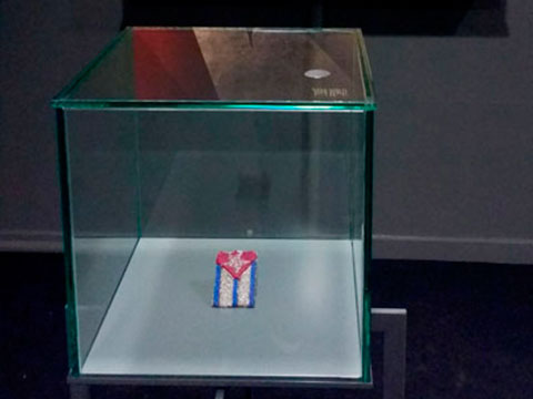 Vista de la Escarapela en la exposición Fuerza y Sangre... 